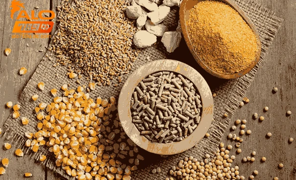 Tổng hợp thức ăn gà đá chuẩn giúp gà chiến khỏe mạnh 1 Các loại thức ăn gà đá phổ biến